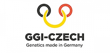 logo ggi czech.jpg