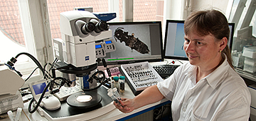 sulakova_web01.png sulakova_web01.png