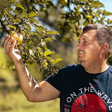 senekrik-390x390.jpg senekrik-390x390.jpg