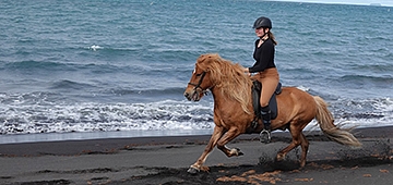 pelzerova ´360x170.jpg pelzerova ´360x170.jpg